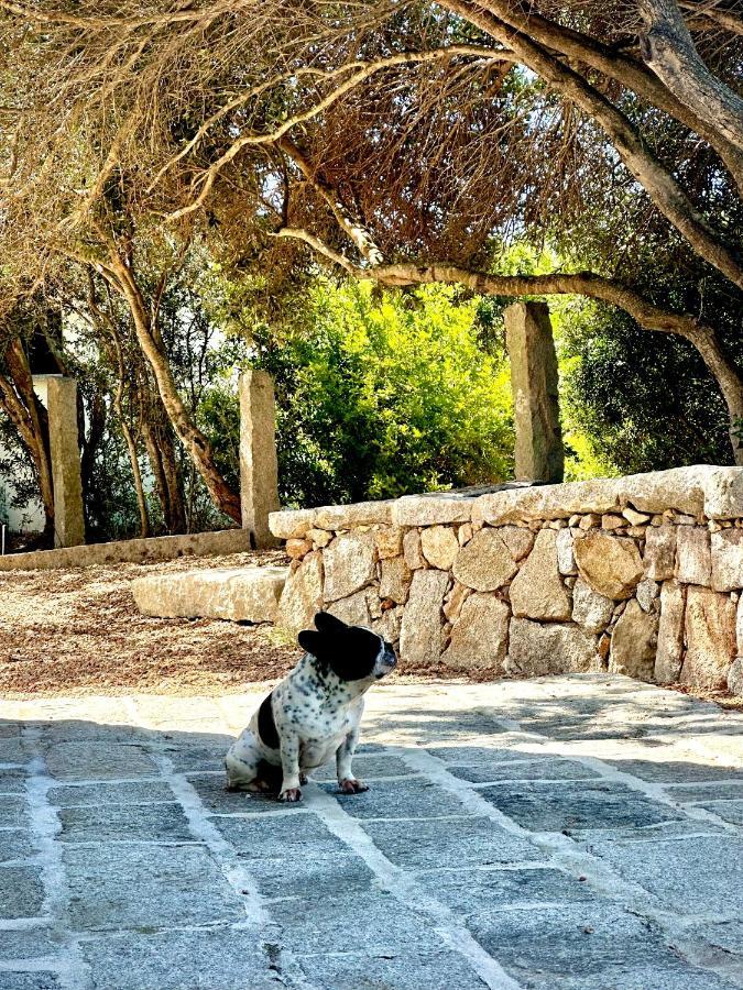 Villa Maria Cristina Santa Teresa Gallura Eksteriør bilde