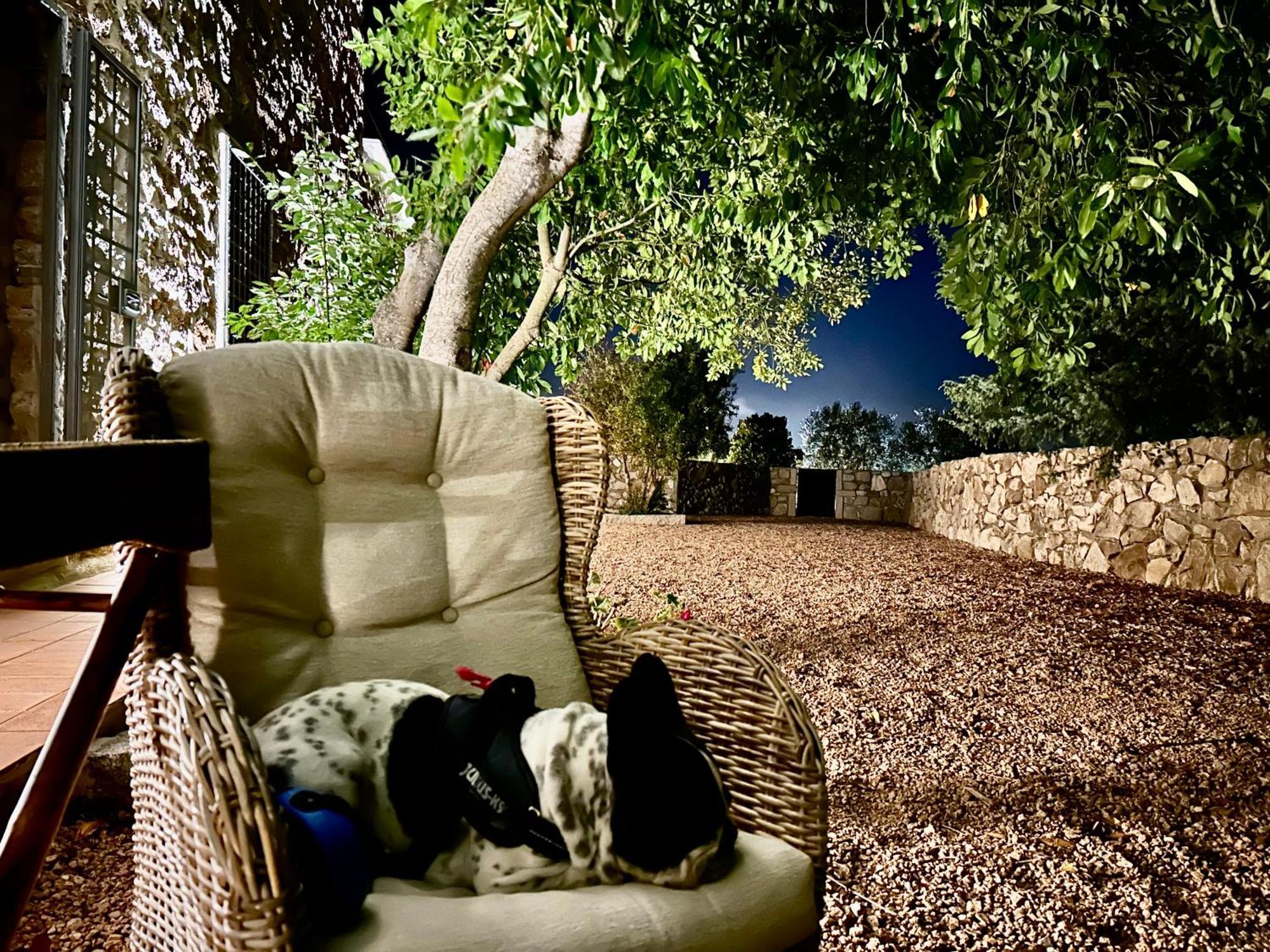 Villa Maria Cristina Santa Teresa Gallura Eksteriør bilde