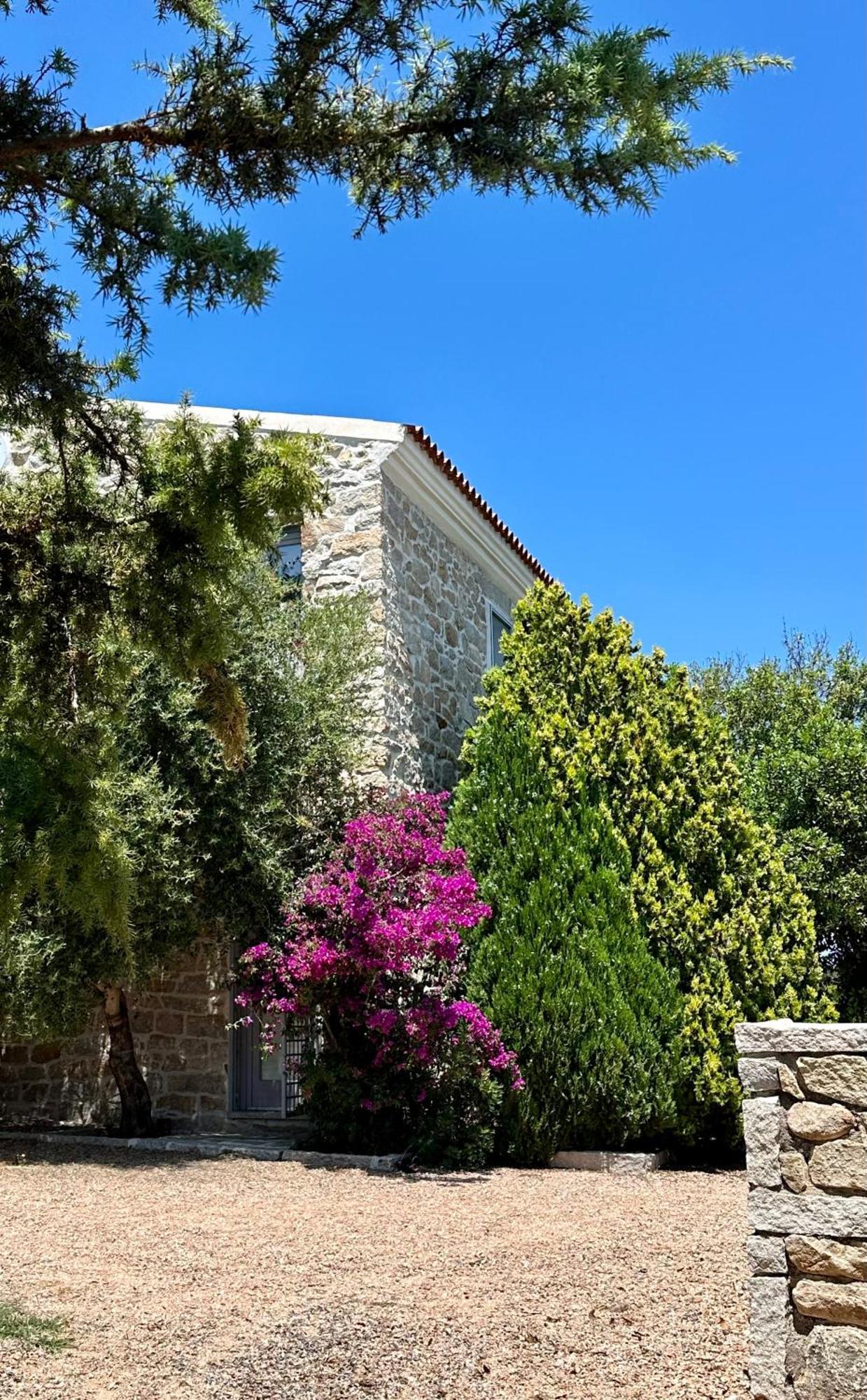 Villa Maria Cristina Santa Teresa Gallura Eksteriør bilde