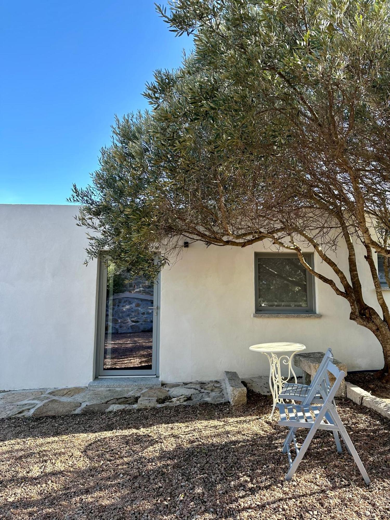Villa Maria Cristina Santa Teresa Gallura Eksteriør bilde